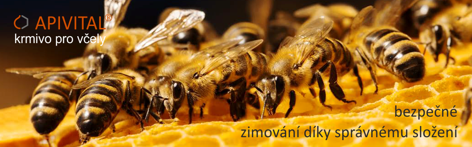 Díky převaze fruktózy APIVITAL® sirup nekrystalizuje v úlech ani při nízkých teplotách a je tak po celou zimu k dispozici včelám